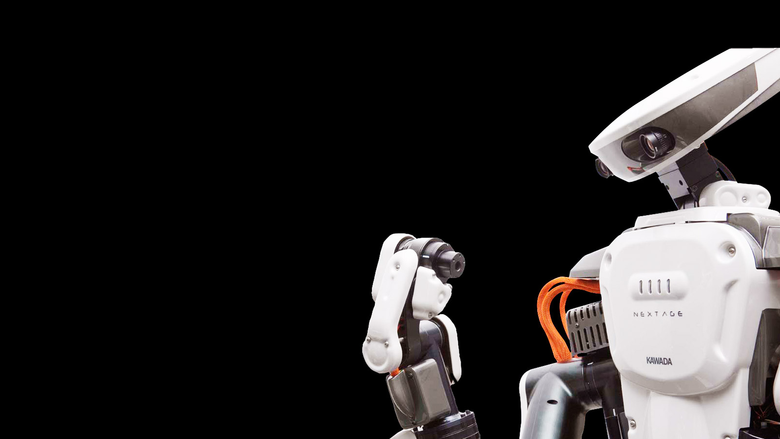 Kawada Robotics NEXTAGE photo 2