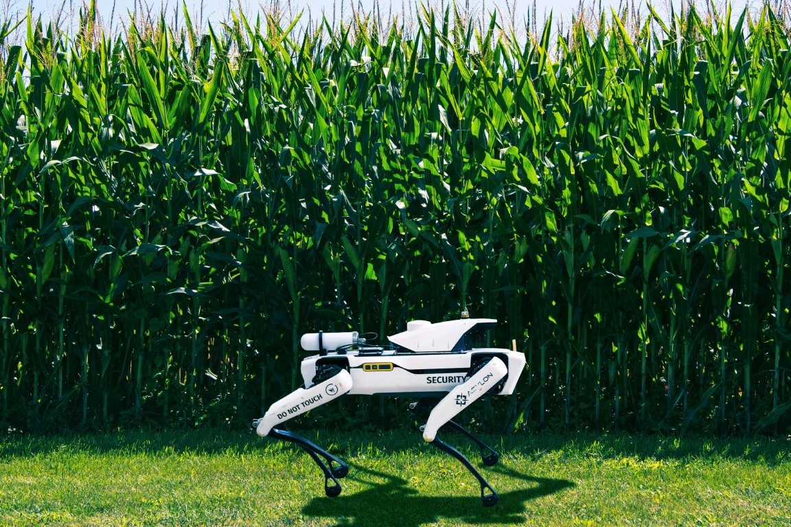 Robot Dogs Haul Crops While Humanoids Go Nonhuman: Best Robot Videos This Week