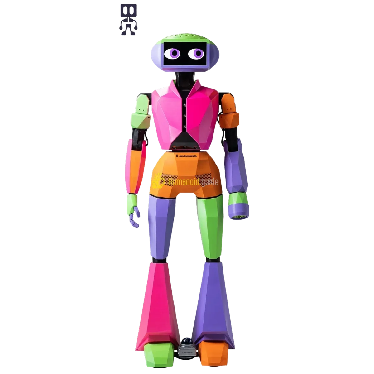 Andromeda Robotics Abi