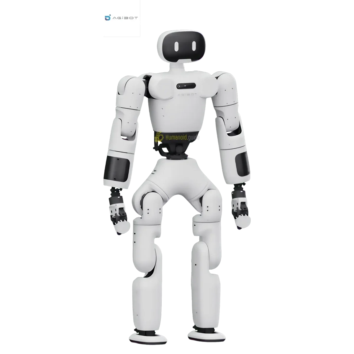 AgiBot X1