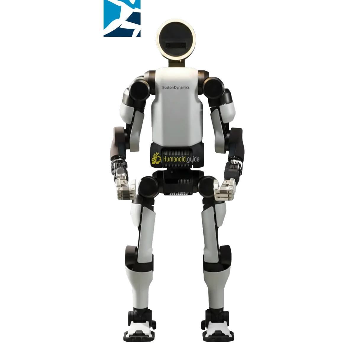Atlas Humanoid Robot by Boston Dynamics | Capabilities & Specs