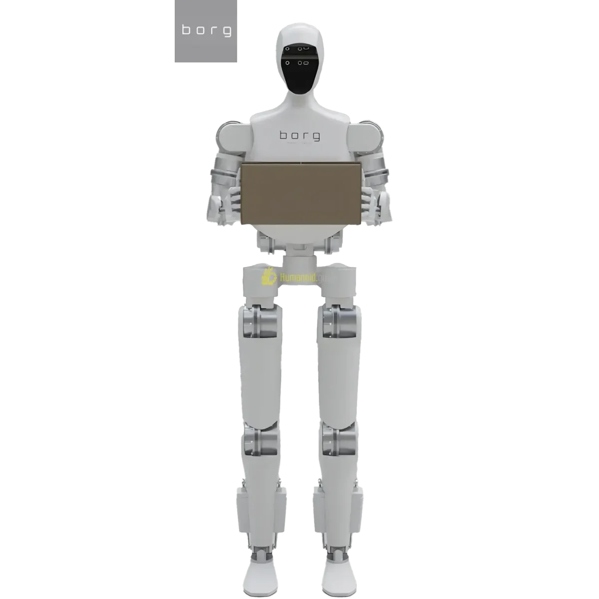 Borg-01