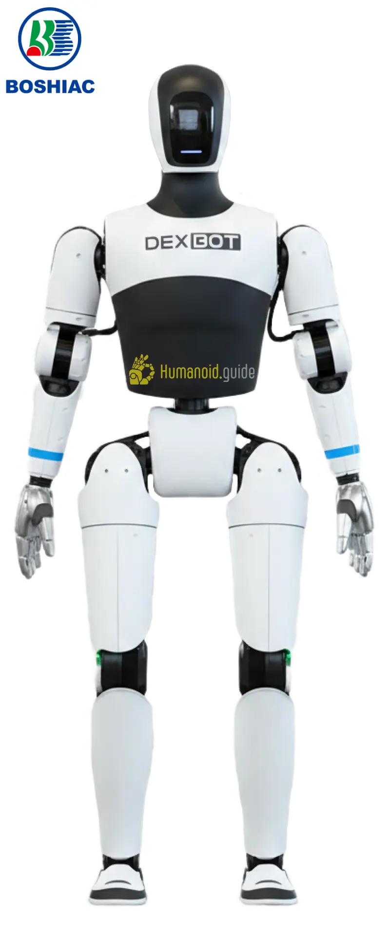 DexBot Humanoid Robot — Industrial Automation Platform photo 2