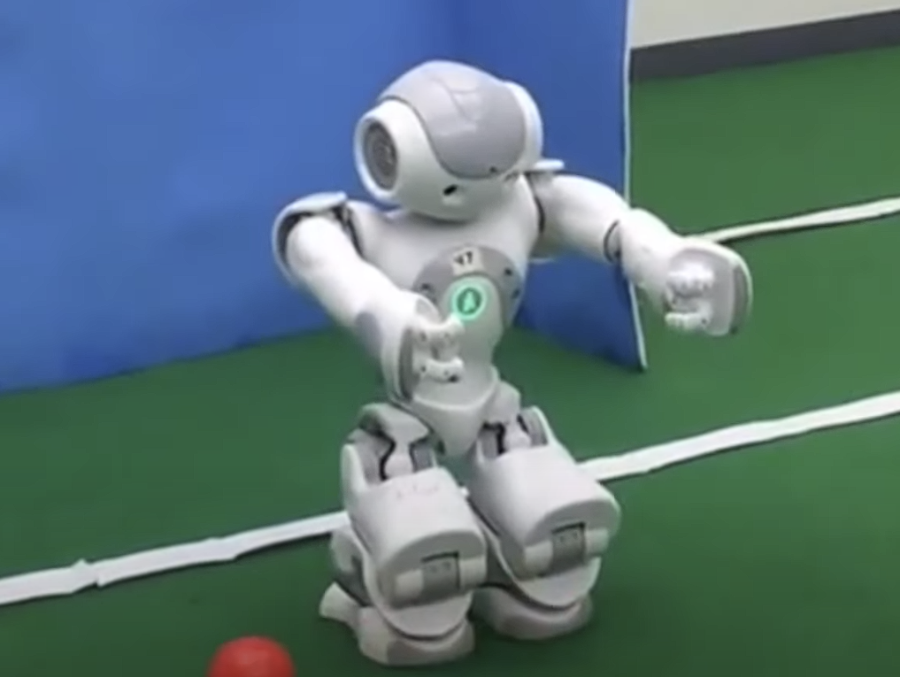 Aldebaran Robotics NAO photo 3