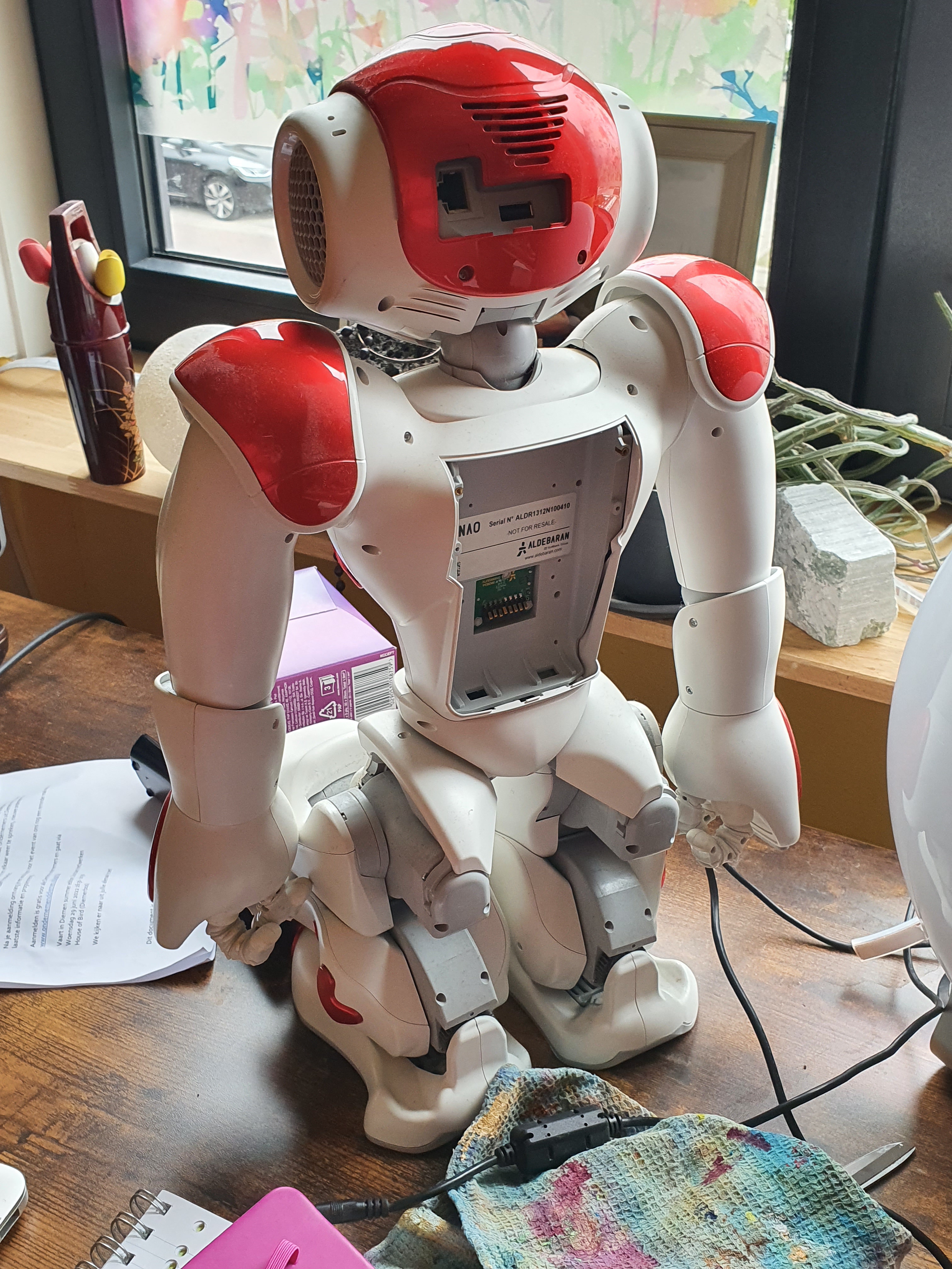 Aldebaran Robotics NAO photo 5