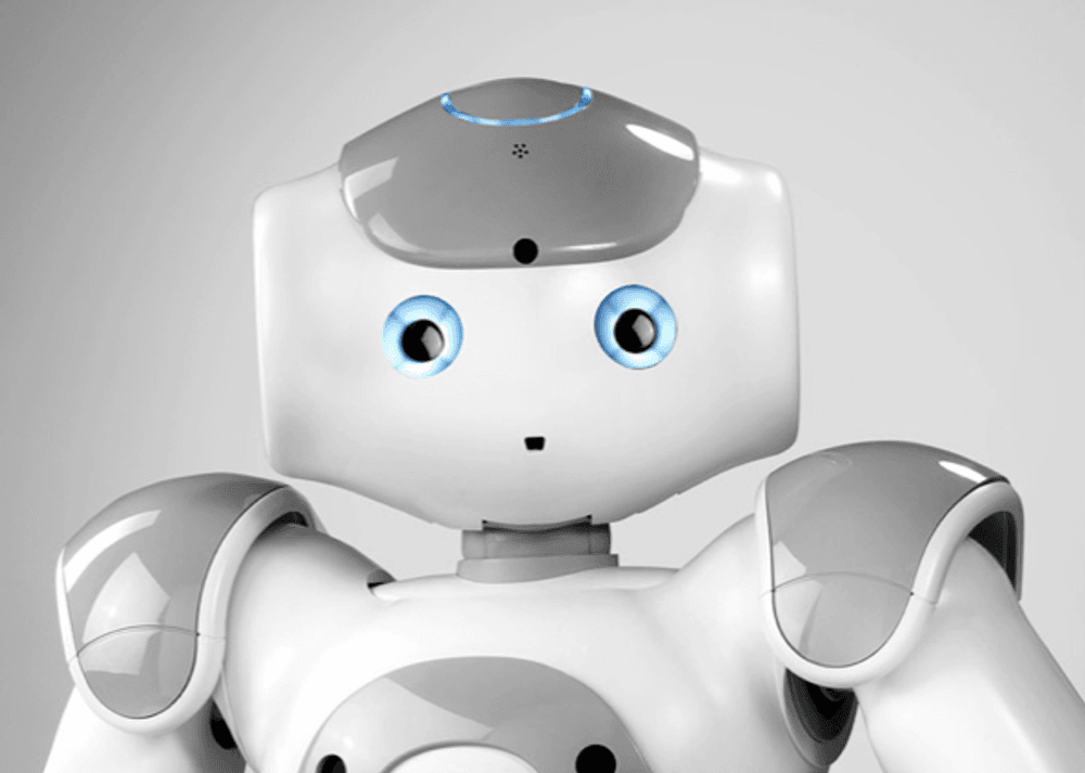 Aldebaran Robotics NAO photo 7