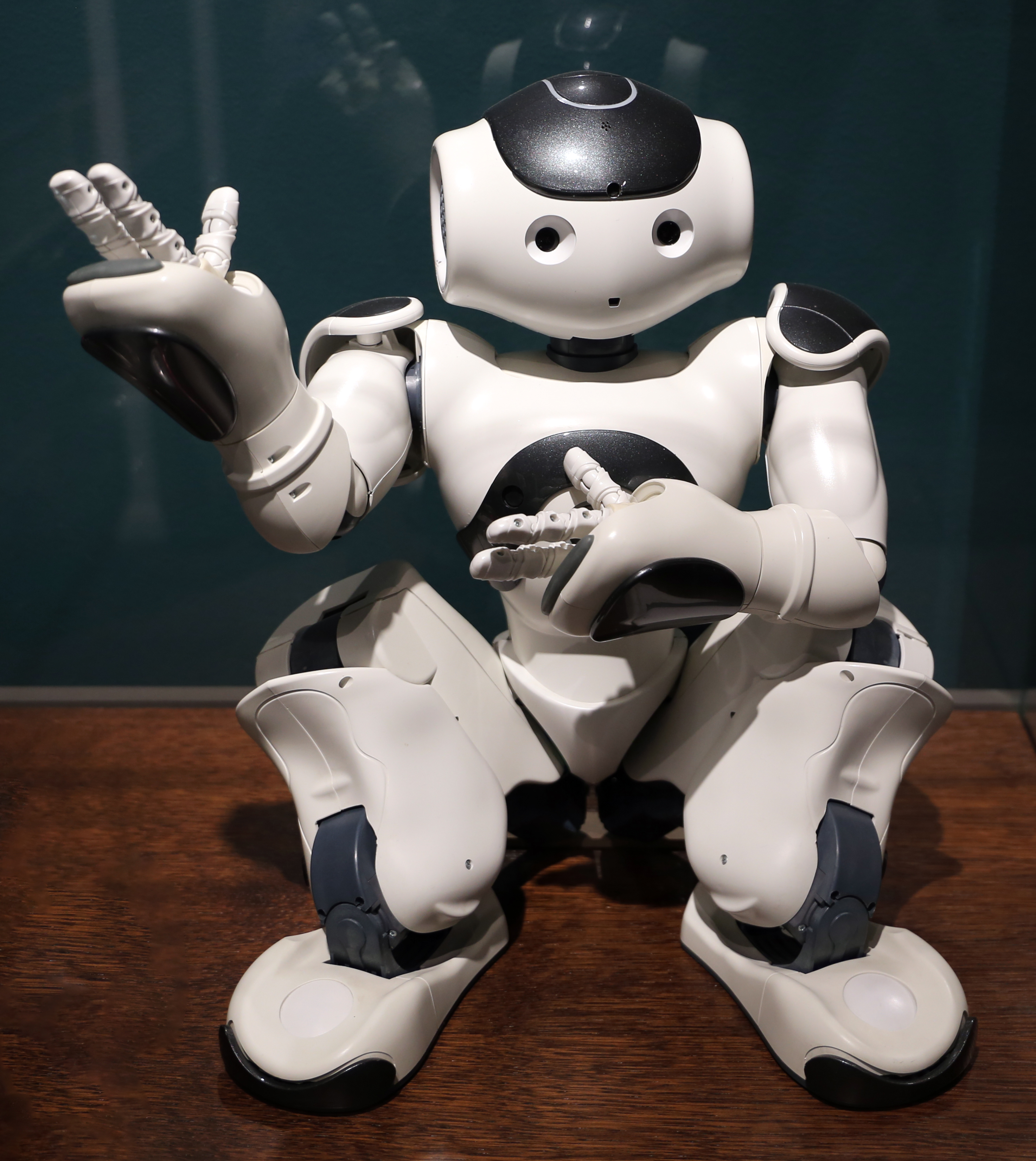 Aldebaran Robotics NAO photo 8