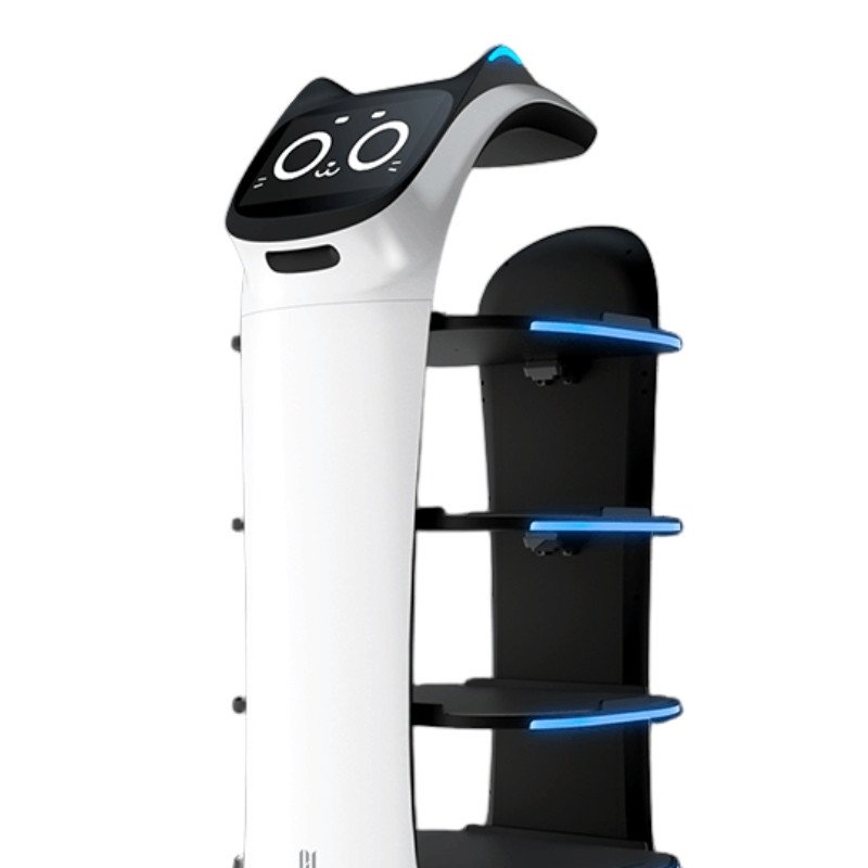 Bear Robotics Servi photo 7