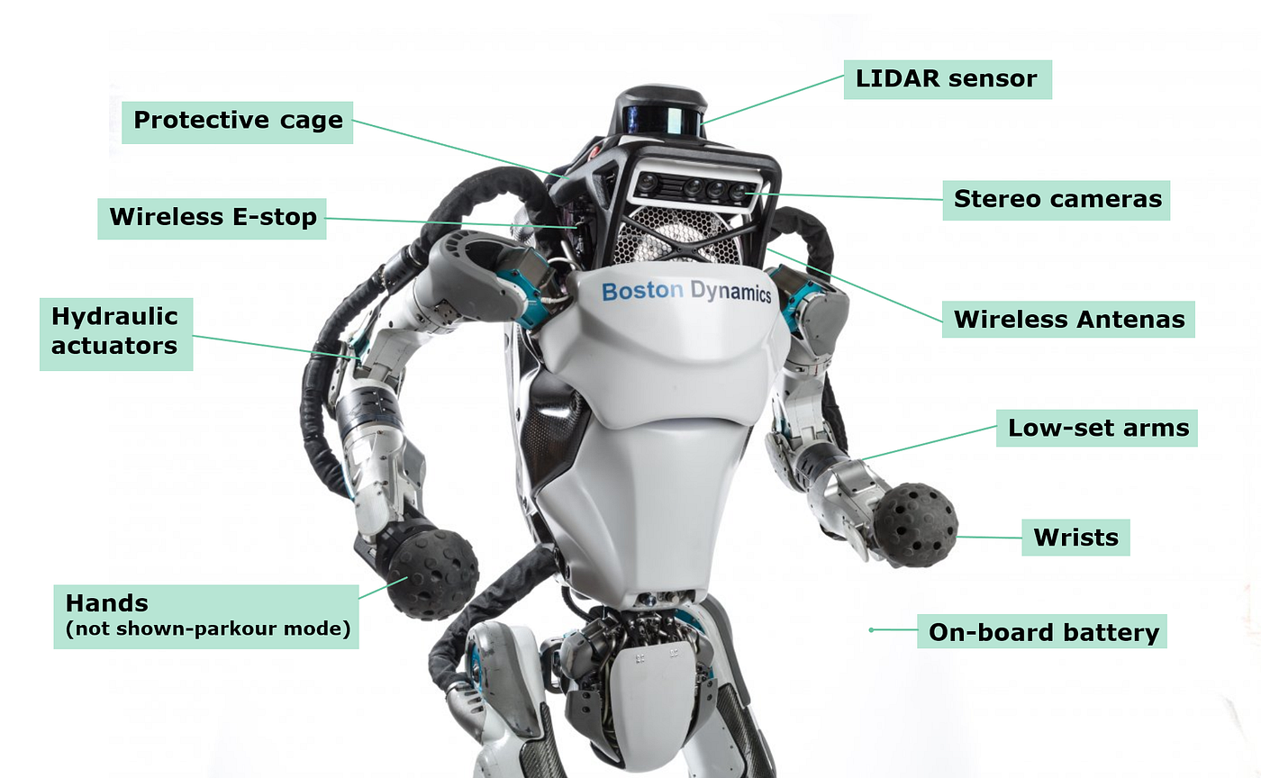 Boston Dynamics Atlas (Hydraulic) photo 8