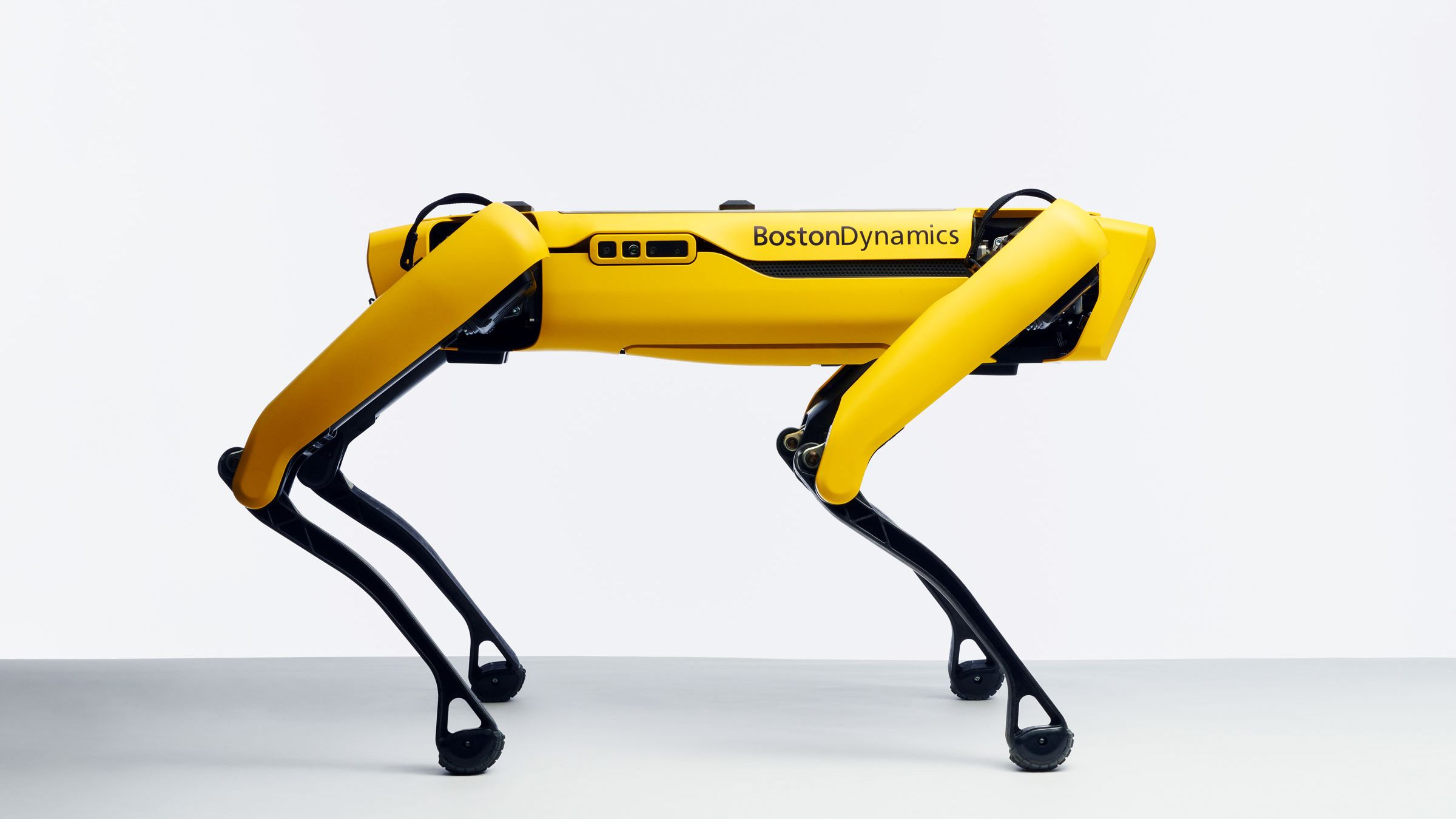Boston Dynamics Spot photo 2