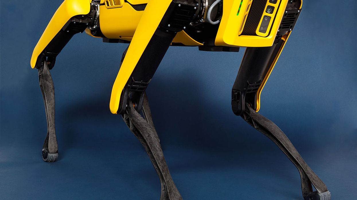 Boston Dynamics Spot photo 3