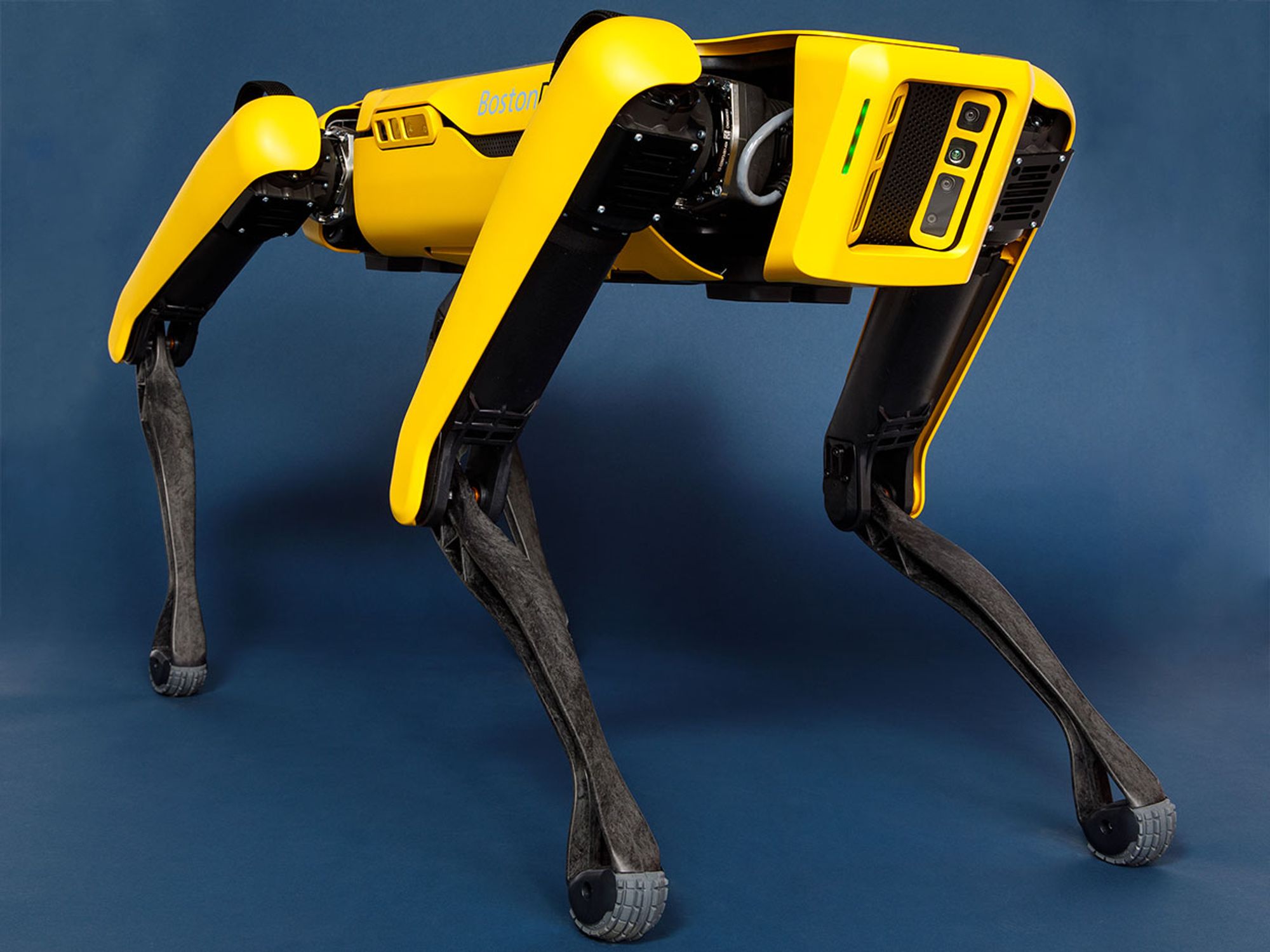 Boston Dynamics Spot photo 6