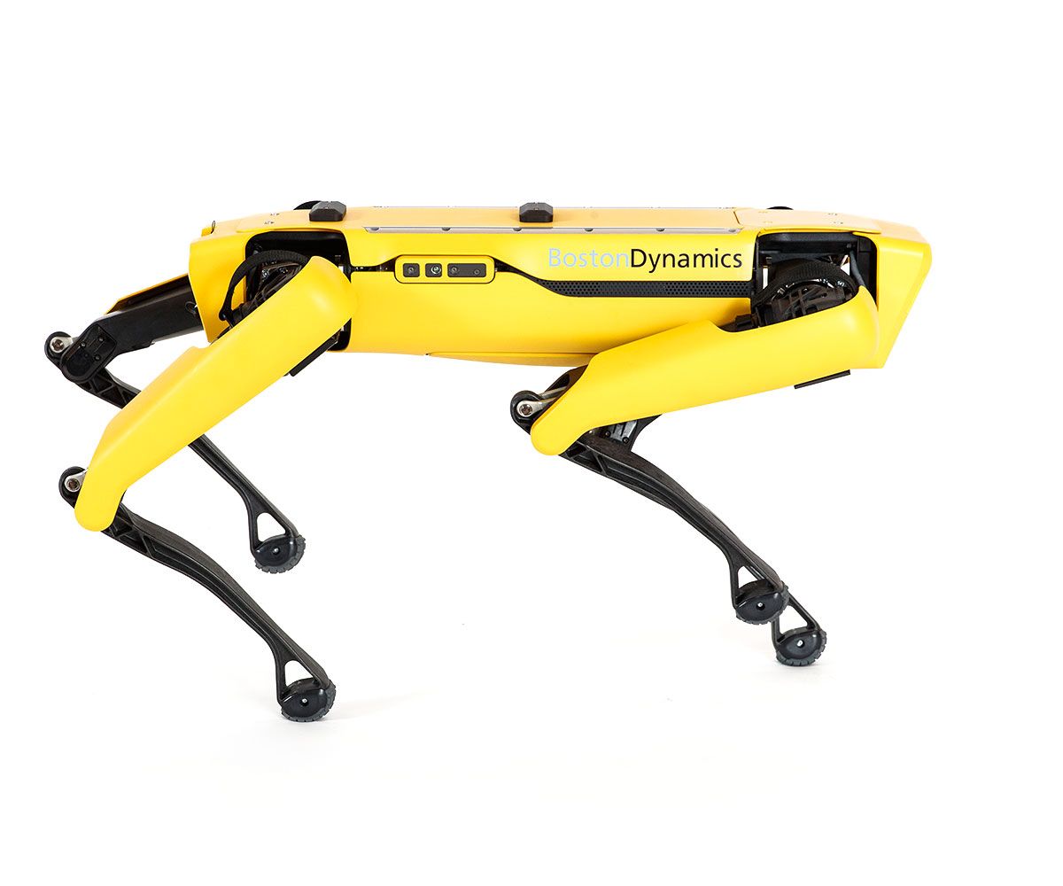 Boston Dynamics Spot photo 7