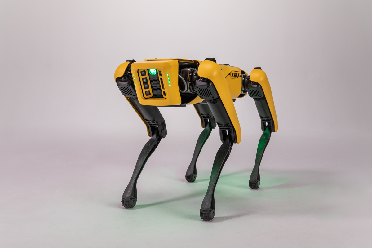 Boston Dynamics Spot photo 8