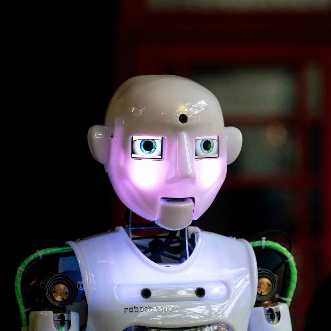 Engineered Arts RoboThespian photo 5