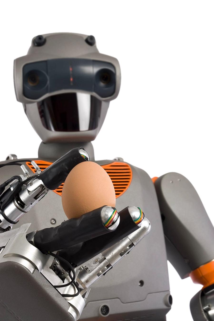 PAL Robotics REEM-B photo 5