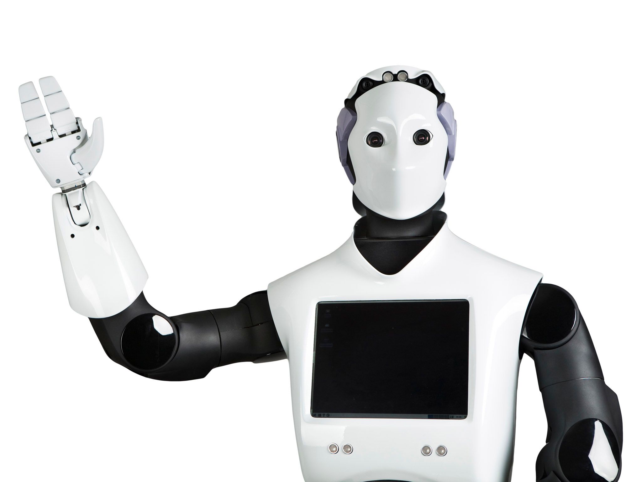 PAL Robotics REEM-B photo 7
