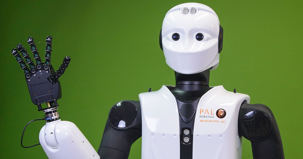 PAL Robotics REEM-C — Cena, Specyfikacje i Oferty photo 3