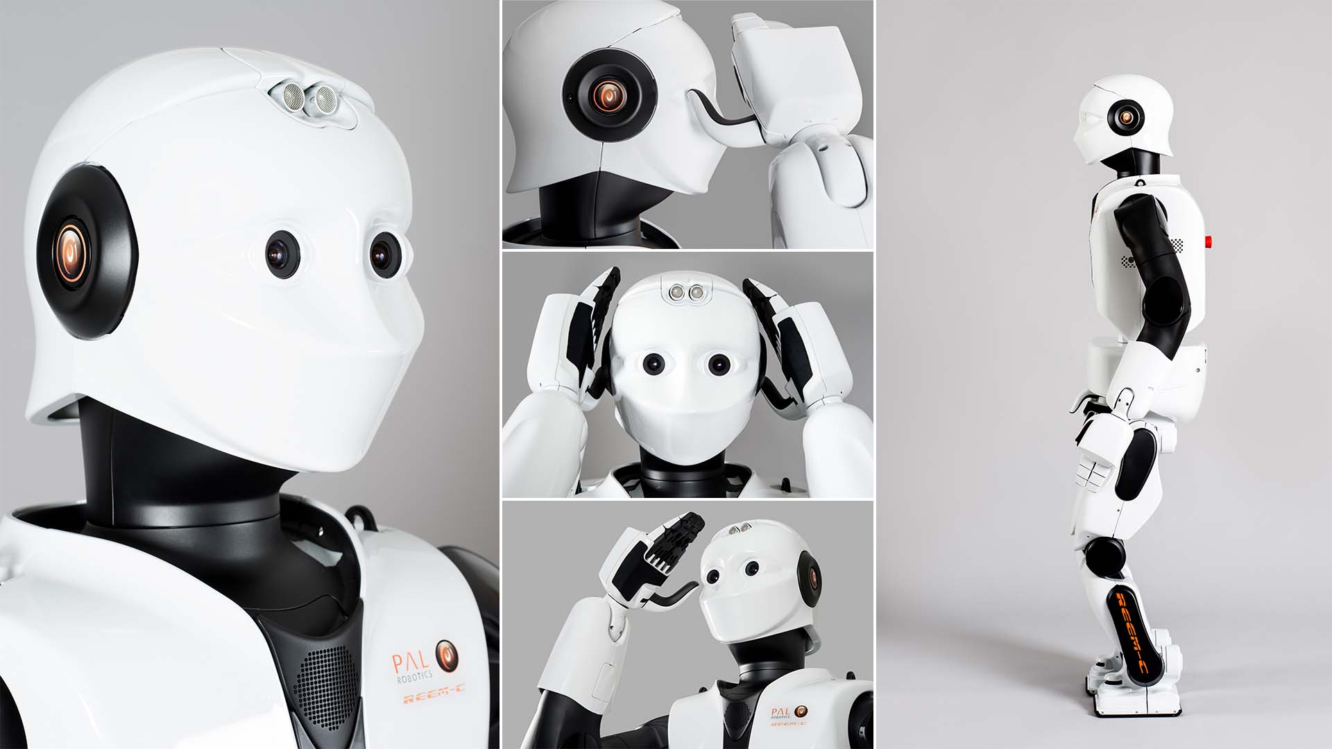 PAL Robotics REEM-C — Cena, Specyfikacje i Oferty photo 7
