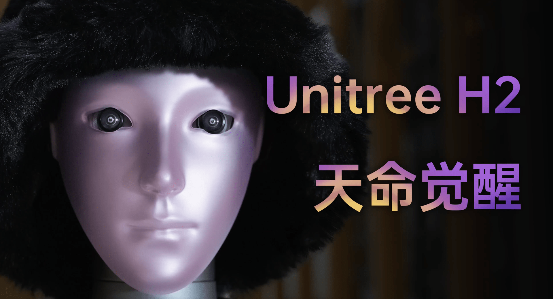 Unitree H2 — Precio, Especificaciones y Listados photo 10