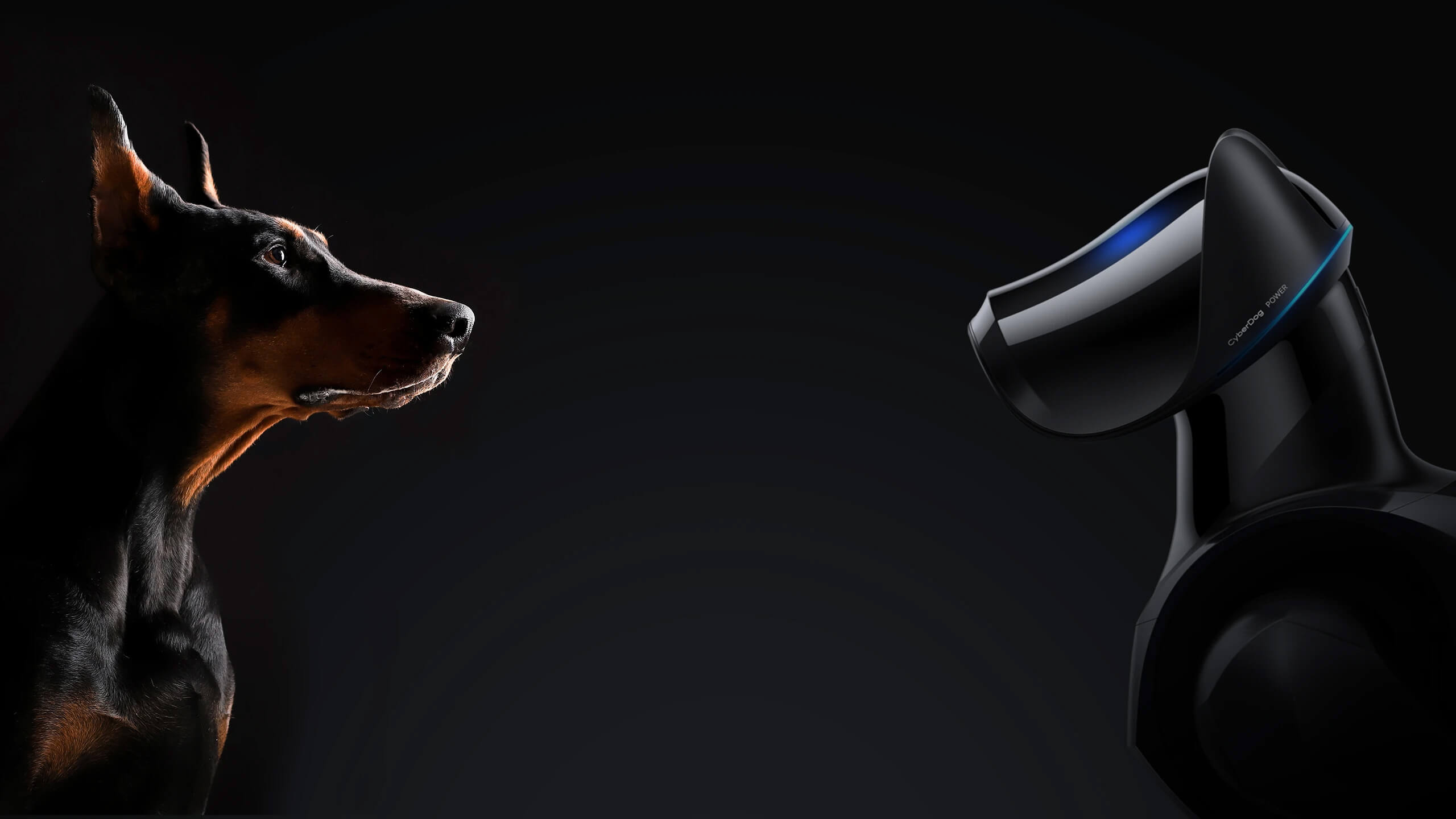 Xiaomi CyberDog 2 — Precio, especificaciones y listados photo 2