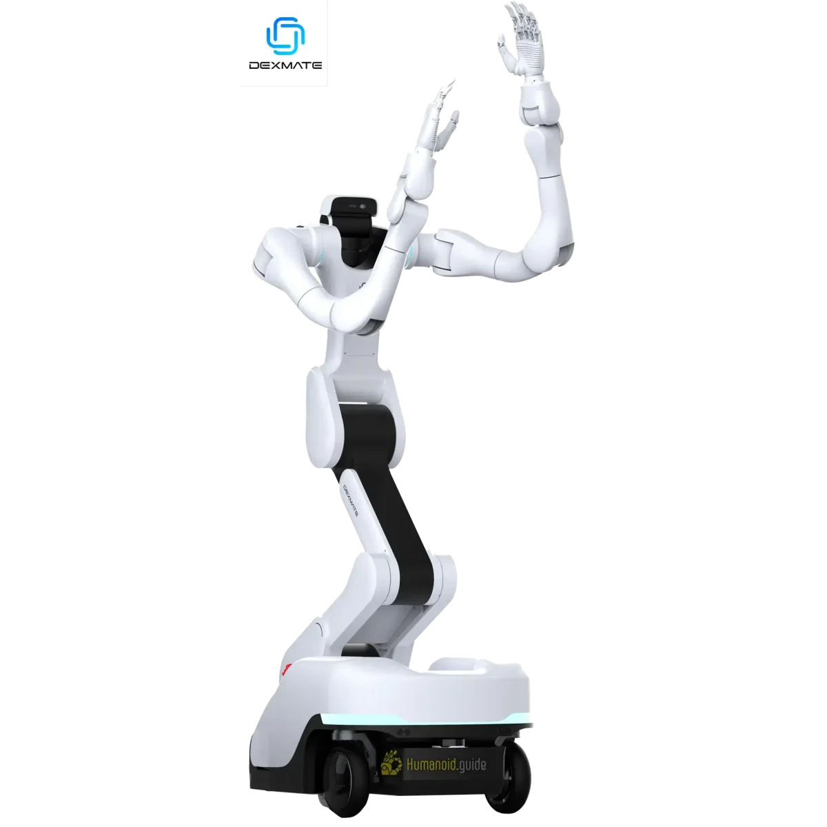 Dexmate Vega