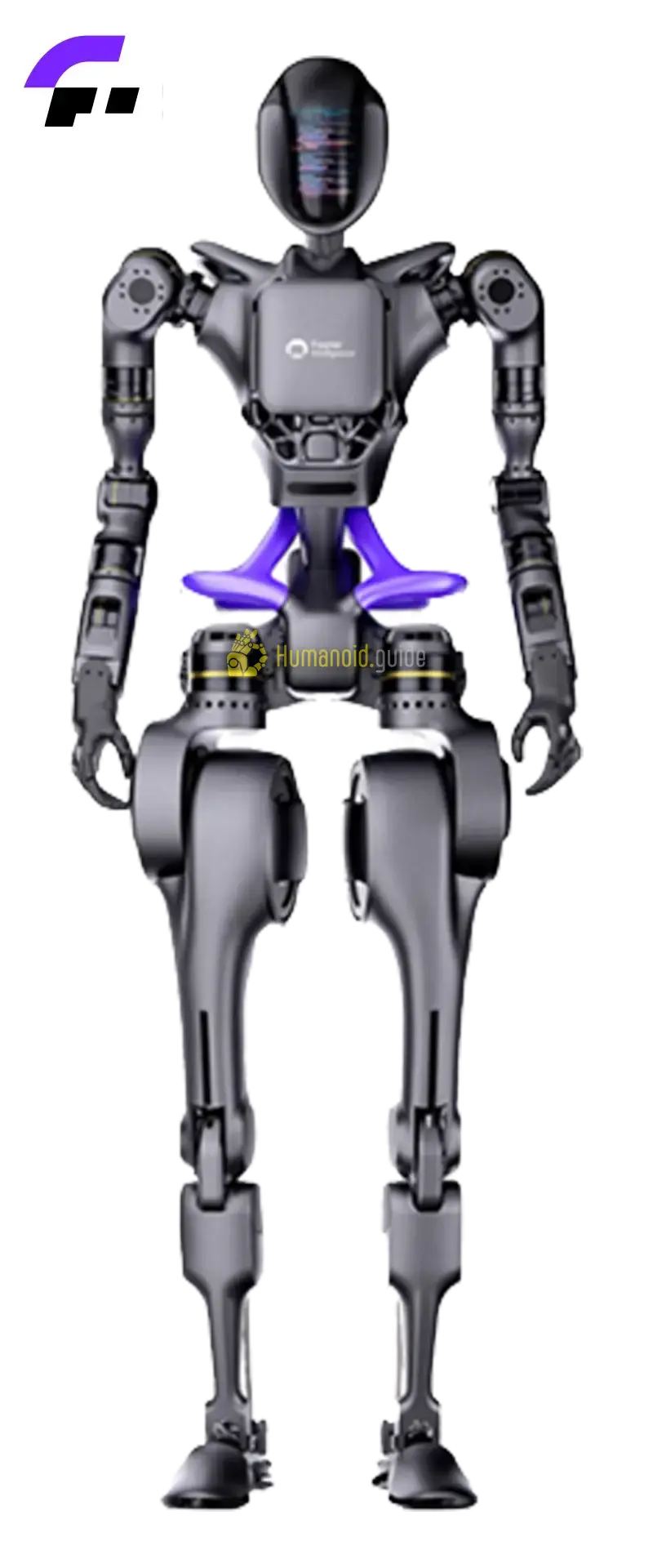 Fourier GR-1