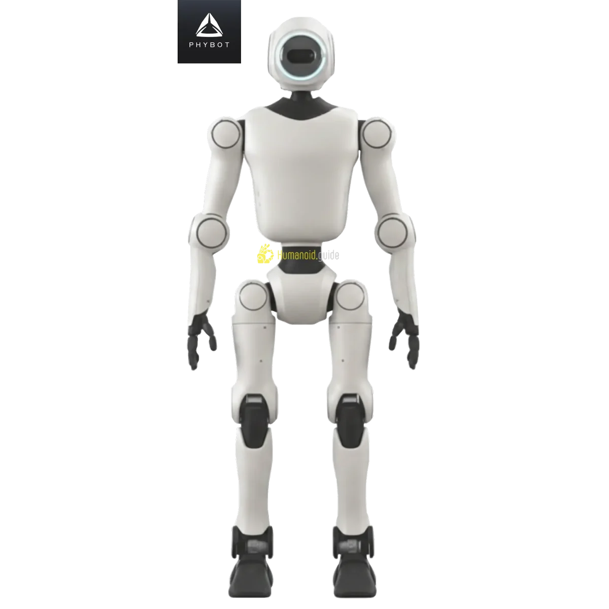 PHYBOT C1