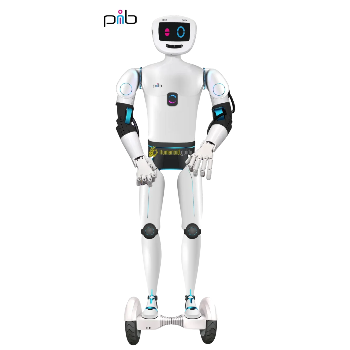 pib Pro