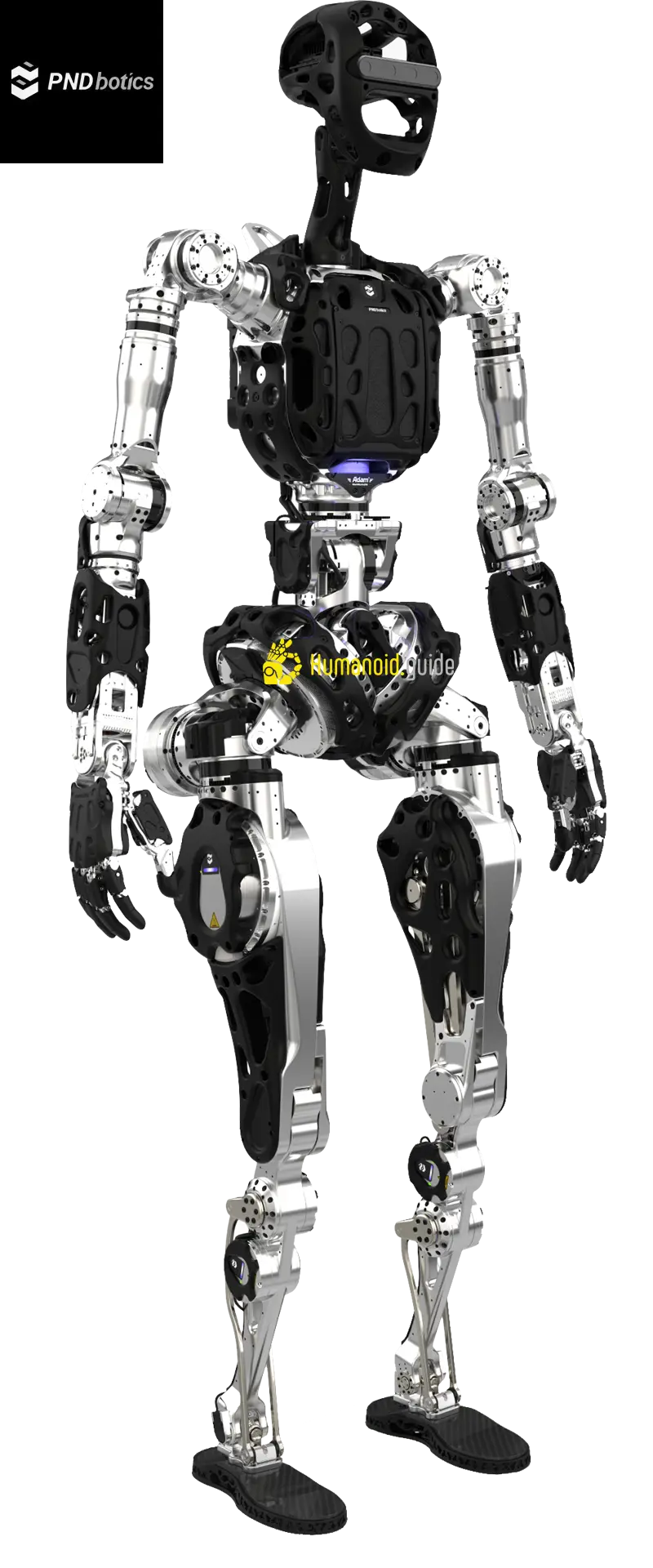 Adam SP