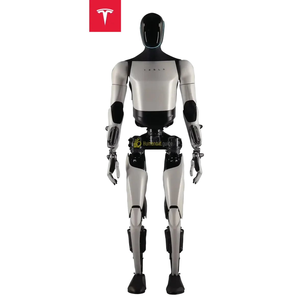 Tesla Optimus Gen 2 photo 2